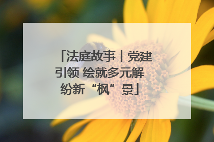 法庭故事丨党建引领 绘就多元解纷新“枫”景