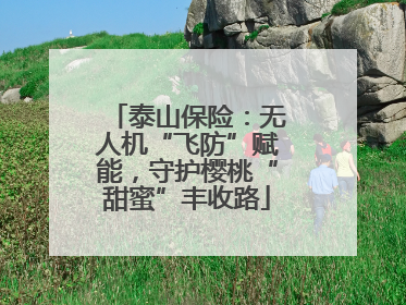 泰山保险：无人机“飞防”赋能，守护樱桃“甜蜜”丰收路