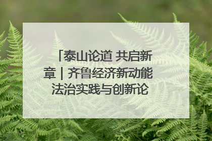 泰山论道 共启新章｜齐鲁经济新动能 法治实践与创新论坛成功举办