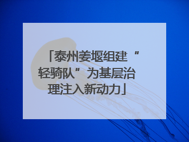 泰州姜堰组建“轻骑队”为基层治理注入新动力