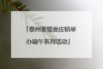 泰州姜堰娄庄镇举办端午系列活动