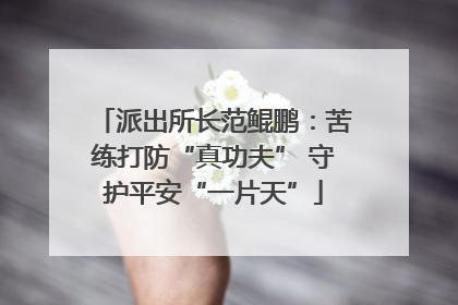 派出所长范鲲鹏：苦练打防“真功夫” 守护平安“一片天”