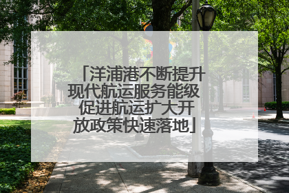 洋浦港不断提升现代航运服务能级 促进航运扩大开放政策快速落地