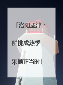 洛阳孟津：鲜桃成熟季 采摘正当时