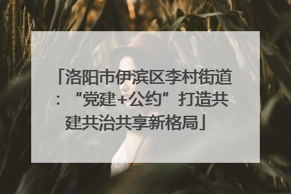 洛阳市伊滨区李村街道：“党建+公约”打造共建共治共享新格局