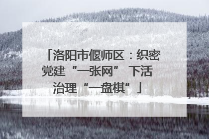 洛阳市偃师区：织密党建“一张网” 下活治理“一盘棋”