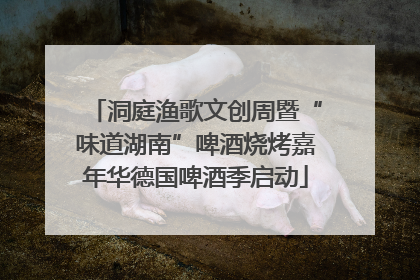洞庭渔歌文创周暨“味道湖南”啤酒烧烤嘉年华德国啤酒季启动