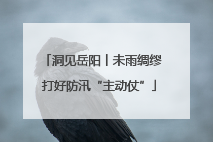 洞见岳阳丨未雨绸缪 打好防汛“主动仗”