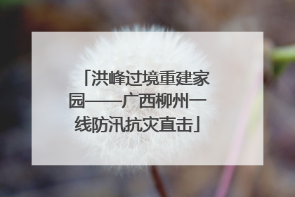 洪峰过境重建家园——广西柳州一线防汛抗灾直击