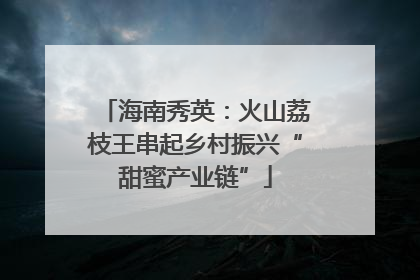 海南秀英：火山荔枝王串起乡村振兴“甜蜜产业链”
