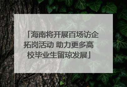 海南将开展百场访企拓岗活动 助力更多高校毕业生留琼发展