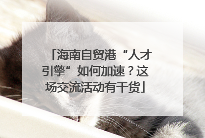 海南自贸港“人才引擎”如何加速？这场交流活动有干货