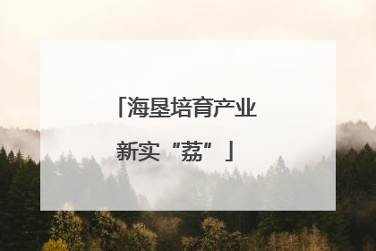 海垦培育产业新实“荔”