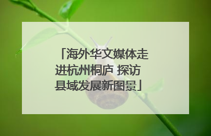 海外华文媒体走进杭州桐庐 探访县域发展新图景