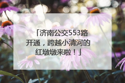 济南公交553路开通，跨越小清河的红墩墩来啦！