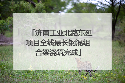 济南工业北路东延项目全线最长钢混组合梁浇筑完成