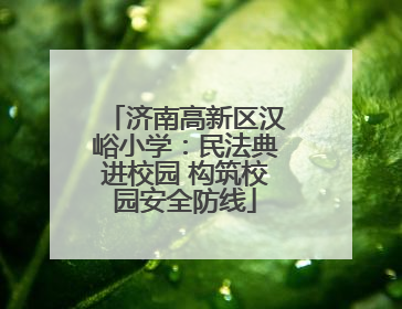 济南高新区汉峪小学：民法典进校园 构筑校园安全防线
