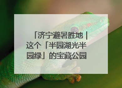 济宁避暑胜地｜这个「半园湖光半园绿」的宝藏公园藏不住了！