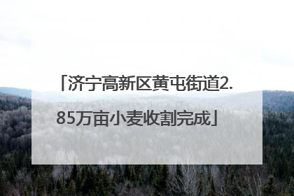 济宁高新区黄屯街道2.85万亩小麦收割完成