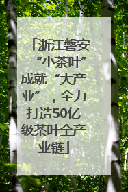 浙江磐安“小茶叶”成就“大产业”，全力打造50亿级茶叶全产业链