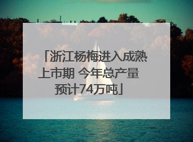 浙江杨梅进入成熟上市期 今年总产量预计74万吨