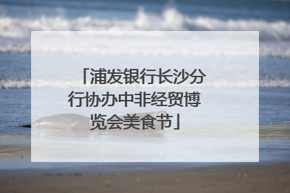 浦发银行长沙分行协办中非经贸博览会美食节