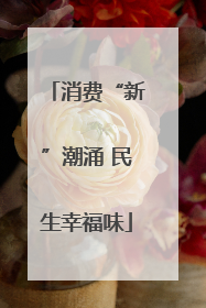 消费“新”潮涌 民生幸福味