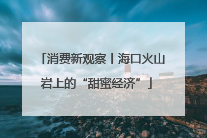 消费新观察丨海口火山岩上的“甜蜜经济”