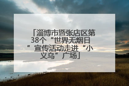 淄博市暨张店区第38个“世界无烟日”宣传活动走进“小义乌”广场