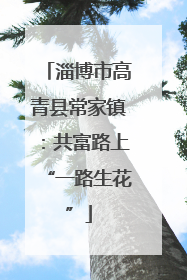 淄博市高青县常家镇：共富路上“一路生花”