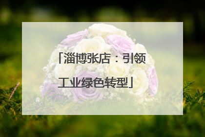 淄博张店：引领工业绿色转型