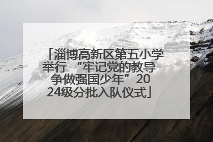淄博高新区第五小学举行 “牢记党的教导 争做强国少年”2024级分批入队仪式