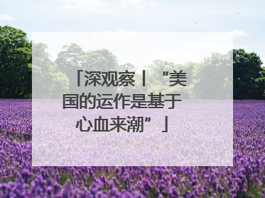 深观察丨“美国的运作是基于心血来潮”