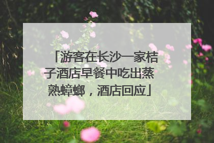 游客在长沙一家桔子酒店早餐中吃出蒸熟蟑螂，酒店回应