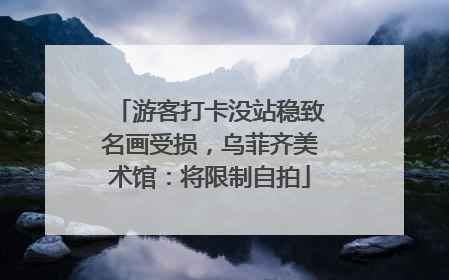游客打卡没站稳致名画受损，乌菲齐美术馆：将限制自拍