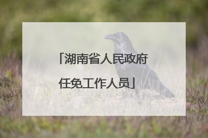 湖南省人民政府任免工作人员
