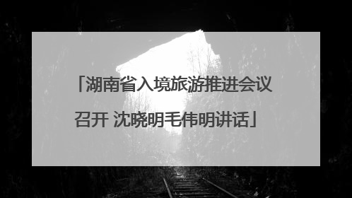 湖南省入境旅游推进会议召开 沈晓明毛伟明讲话