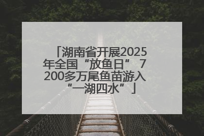 湖南省开展2025年全国“放鱼日” 7200多万尾鱼苗游入“一湖四水”