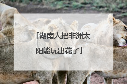 湖南人把非洲太阳能玩出花了