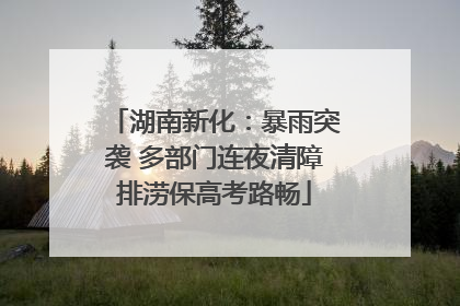 湖南新化：暴雨突袭 多部门连夜清障排涝保高考路畅