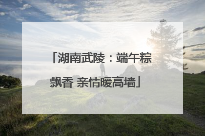 湖南武陵：端午粽飘香 亲情暖高墙