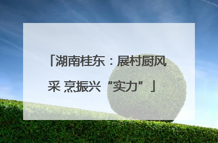 湖南桂东：展村厨风采 烹振兴“实力”