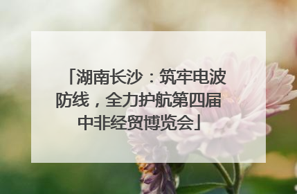 湖南长沙：筑牢电波防线，全力护航第四届中非经贸博览会
