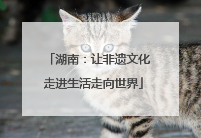 湖南：让非遗文化走进生活走向世界