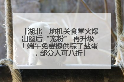 湖北一地机关食堂火爆出圈后“宠粉” 再升级！端午免费提供粽子盐蛋，部分人可八折