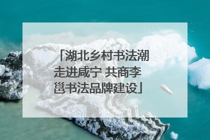 湖北乡村书法潮走进咸宁 共商李邕书法品牌建设