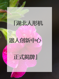 湖北人形机器人创新中心正式揭牌