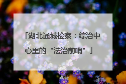 湖北通城检察：综治中心里的“法治前哨”