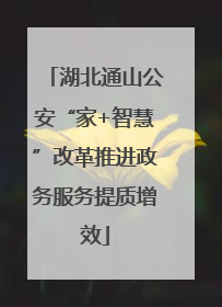 湖北通山公安“家+智慧”改革推进政务服务提质增效