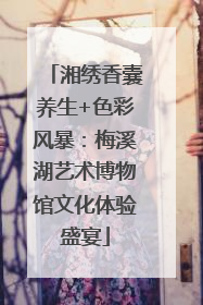 湘绣香囊养生+色彩风暴：梅溪湖艺术博物馆文化体验盛宴